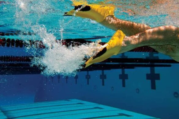 6 Swimming Levels Explained: Dive Deeper with Confidence