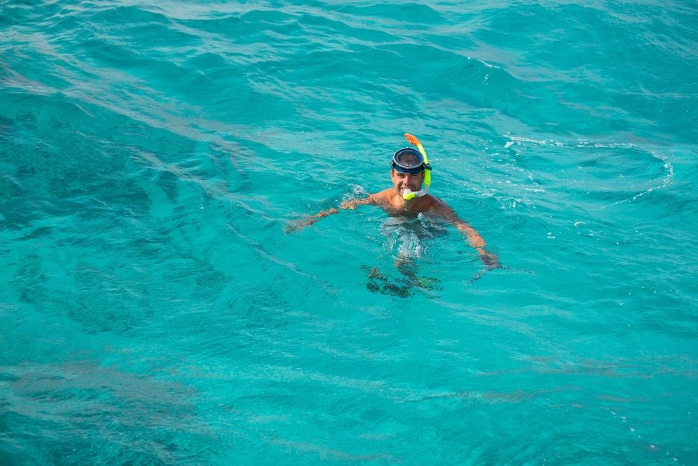 Snorkeling In The Caribbean Sea Pearl Diver Tourist Diver Diving