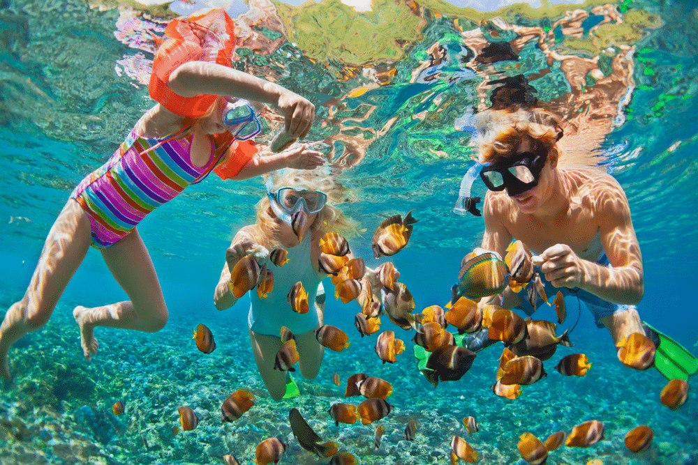 mother father and child snorkeling under water a bunch of fishes