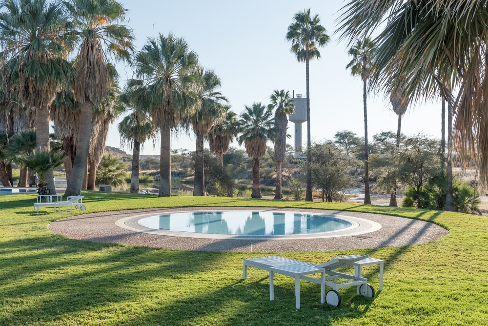 number of palm trees covering a pool