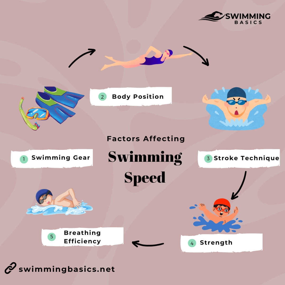 Factors Affecting Swimming Speed Infographic