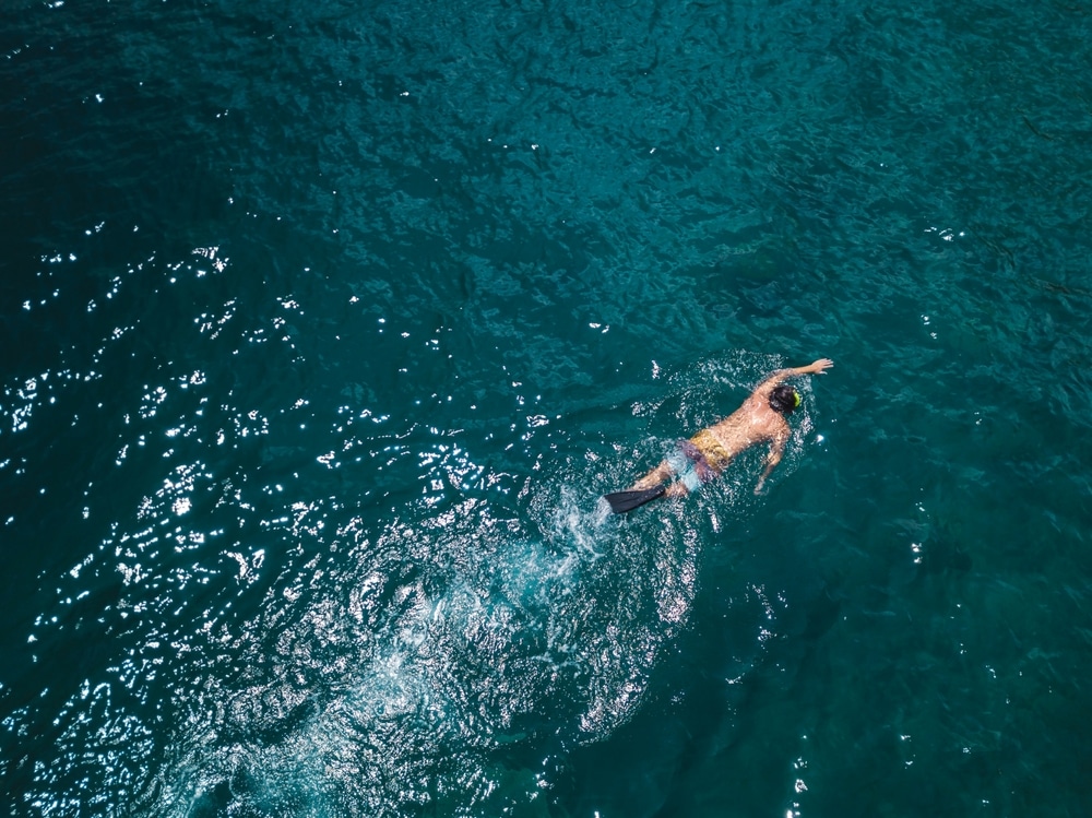 Man Snorkeling In Ocean